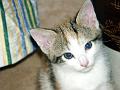 caramel 06-04 045